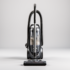 Aspirateur pour les poils de chien: un indispensable!
